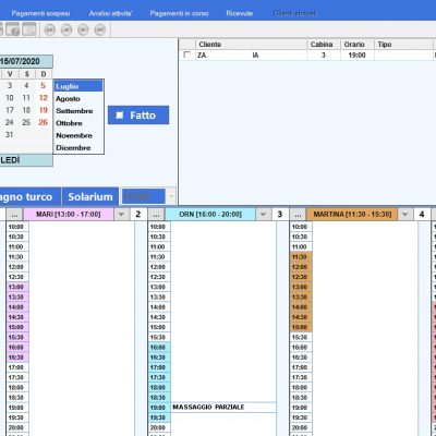 wellness-software-solution-informatica